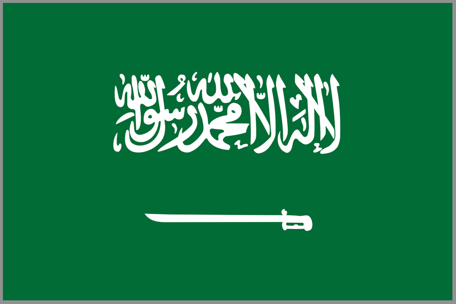 Saudi Arabia Personal Visa (non-UK national)  (CLONE)
